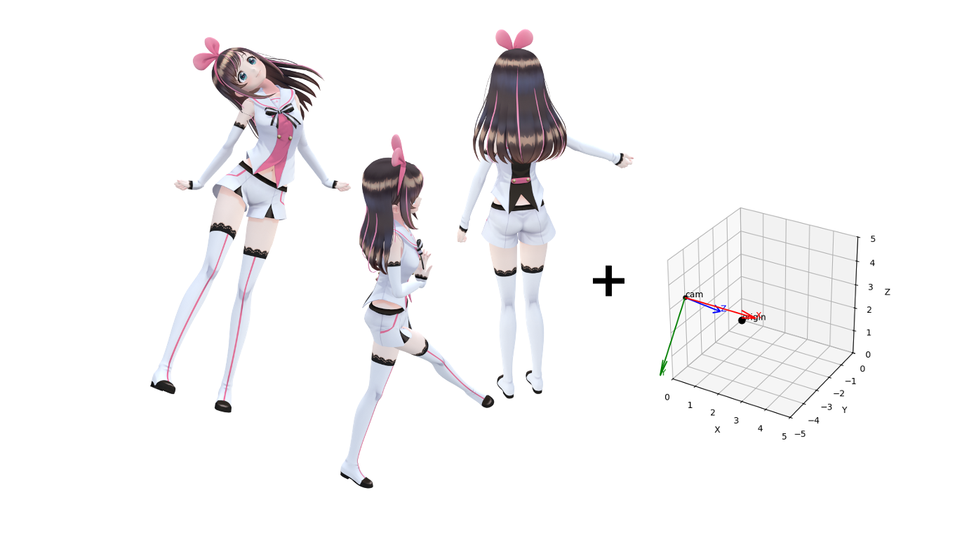 Multi view with camera